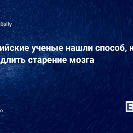 Российские ученые нашли способ замедлить нейродегенерацию