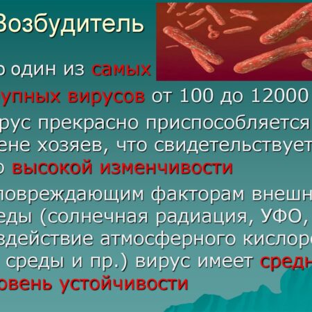 Обычный вирус оказался скрытым возбудителем рака