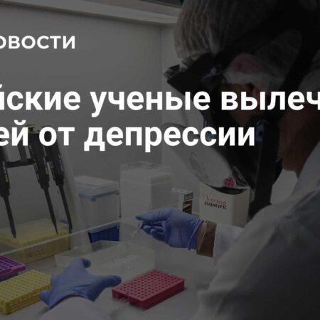 Китайские ученые успешно преодолели депрессию у мышей, используя человеческие нейроны