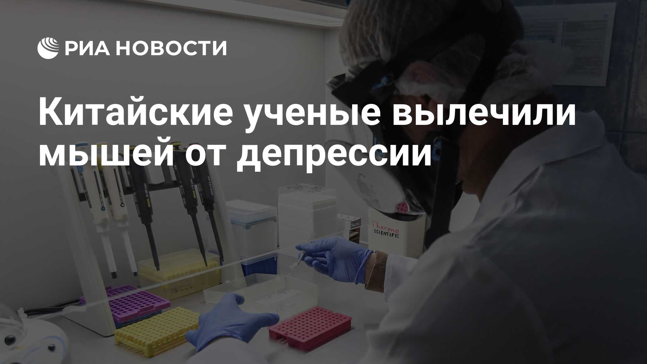 Preview Китайские ученые успешно преодолели депрессию у мышей, используя человеческие нейроны