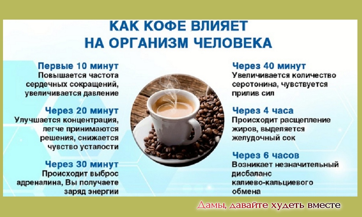 Preview Кофе на ночь: Неожиданное Влияние на Импульсивность и Самоконтроль