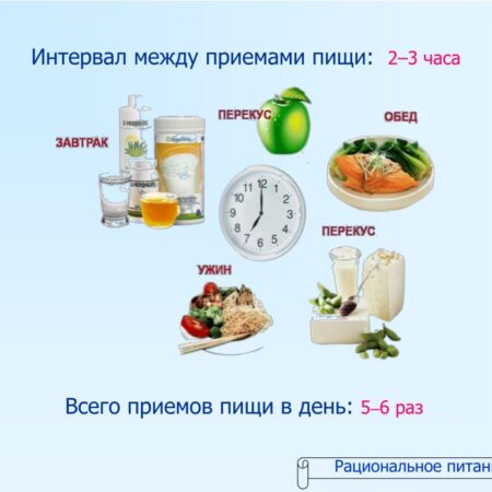 Длительные интервалы между приемами пищи способны замедлить развитие болезни Альцгеймера