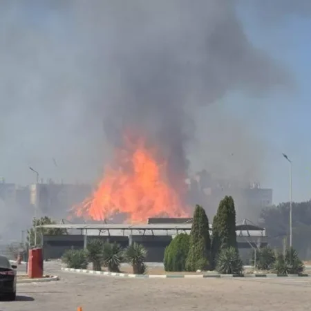 Крупный пожар в Севастополе: 12 гектаров у Камышового шоссе