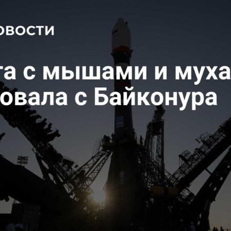 Российский спутник «Бион-М» №2 с мышами и мухами успешно выведен на орбиту