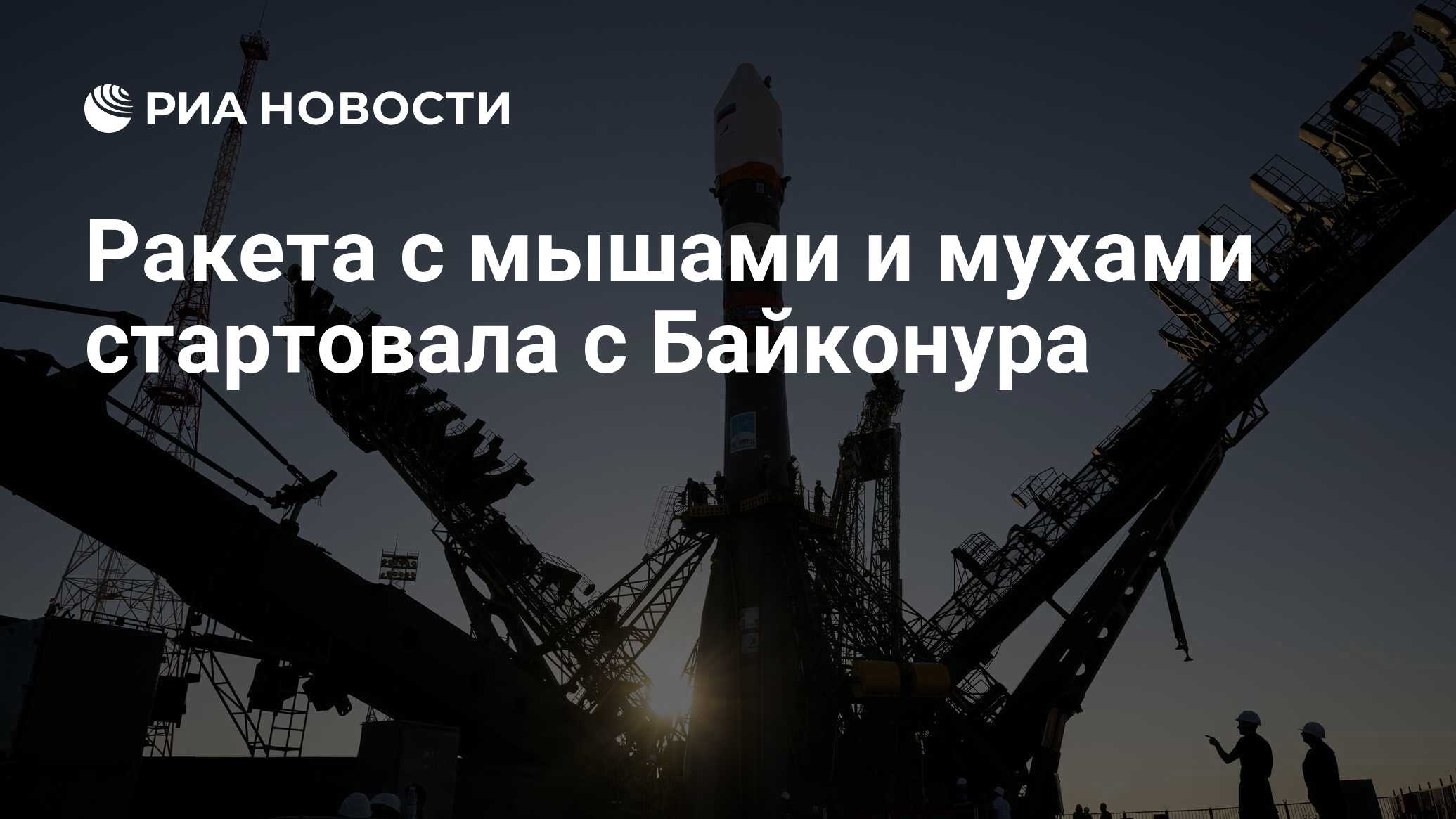 Preview Российский спутник «Бион-М» №2 с мышами и мухами успешно выведен на орбиту