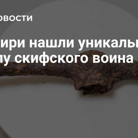 Уникальное захоронение скифского воина-элиты найдено в Сибири