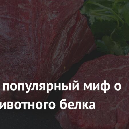 Научное исследование развеяло миф о вреде животного белка