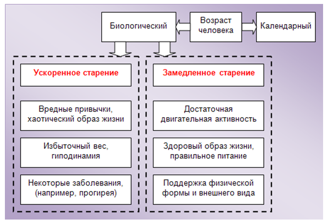 Preview Обнаружено негативное влияние сильной жары на биологическое старение человека