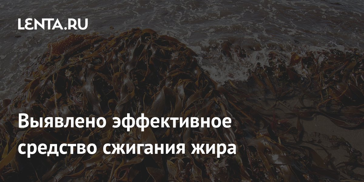 Preview Эффективное средство для борьбы с ожирением: новая форма фукоидана