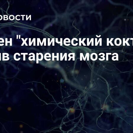 Ученые обнаружили химический состав, замедляющий старение мозга