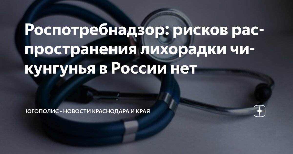 Preview Роспотребнадзор: угроза чикунгуньи в России отсутствует