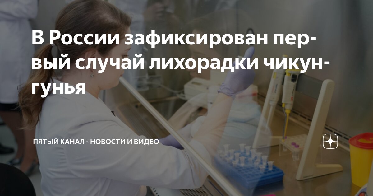 Preview Первый случай лихорадки чикунгунья зафиксирован в Москве у прибывшего из Шри-Ланки