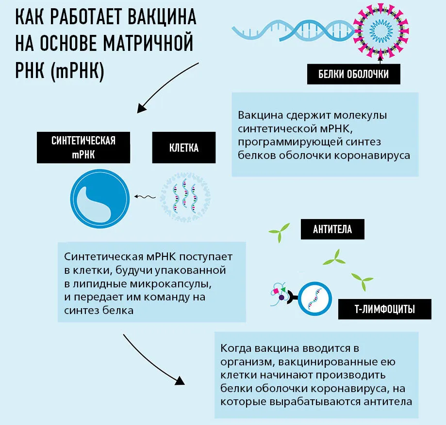 Preview Создание универсальной вакцины от рака: Перспективы мРНК-технологии