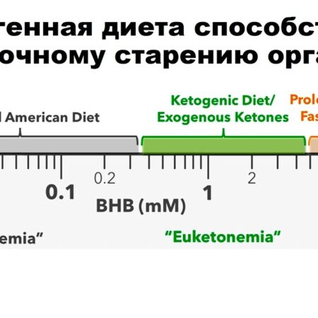 Кетогенная диета: неожиданные половые различия в воздействии на клеточное старение