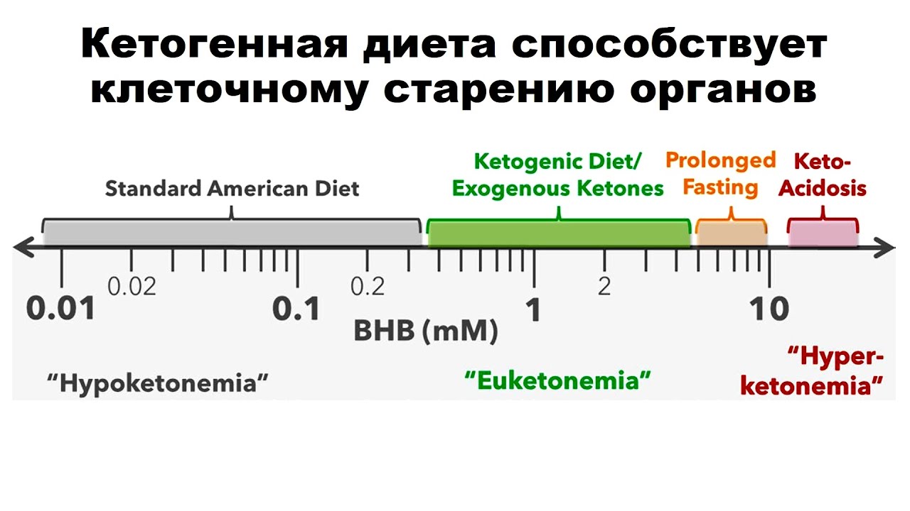 Preview Кетогенная диета: неожиданные половые различия в воздействии на клеточное старение