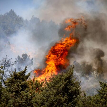Масштабный лесной пожар под Севастополем полностью потушен: фоторепортаж с места событий