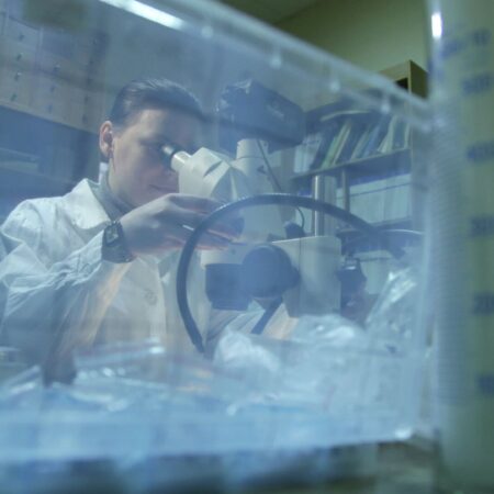 Российские ученые разгадали механизм трансформации арктического минерала