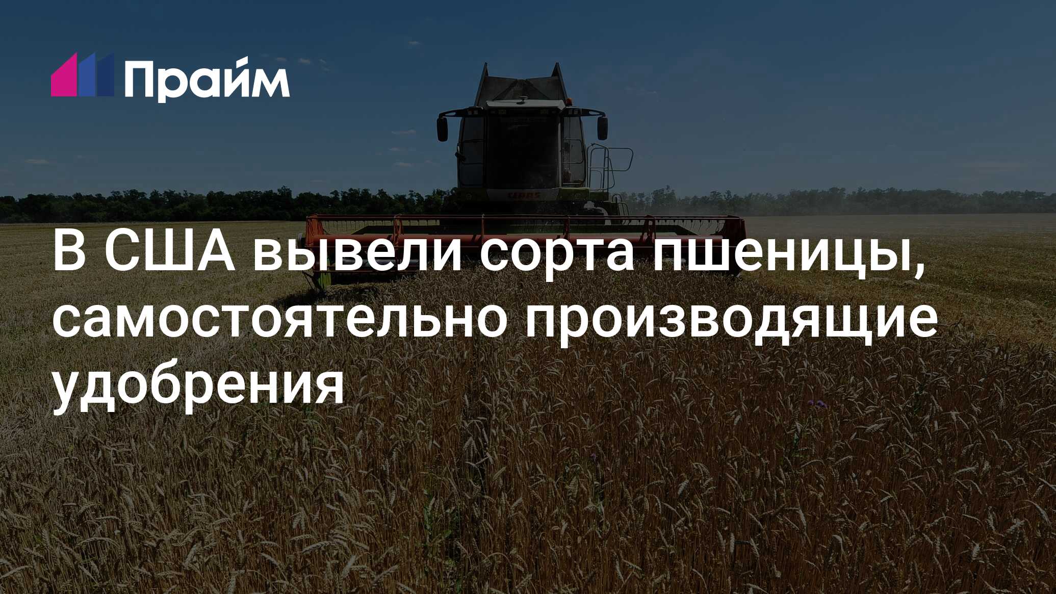 Preview В США создали пшеницу, которая сама себя удобряет