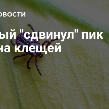 Смещение сезона клещей: прогноз ученого