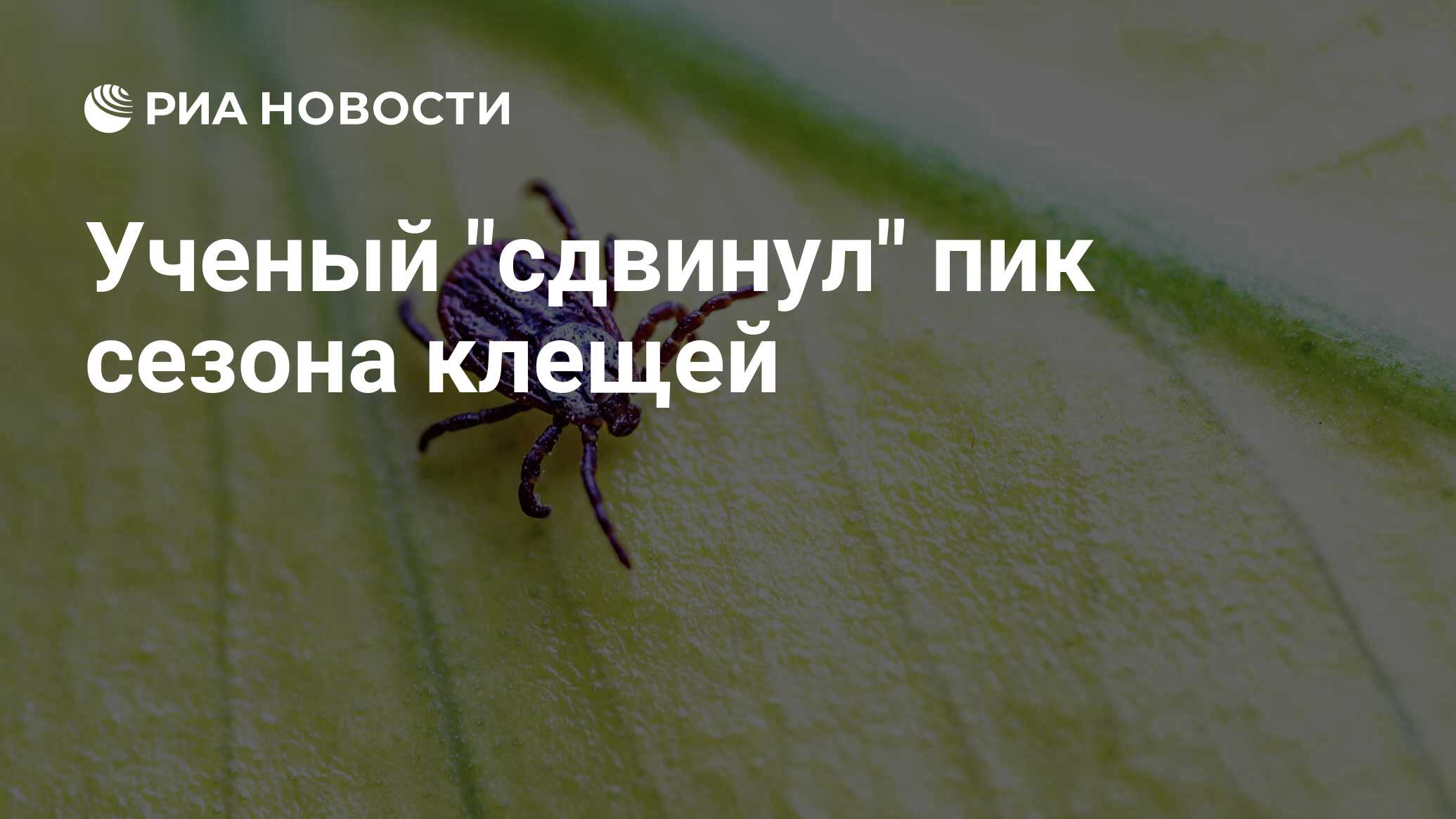 Preview Смещение сезона клещей: прогноз ученого