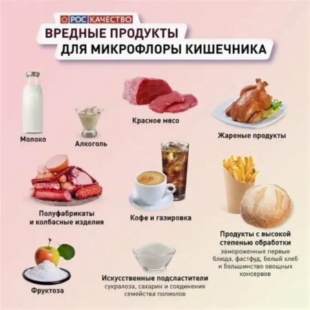 Молочные продукты: ключи к здоровому кишечнику