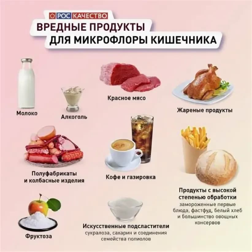 Preview Молочные продукты: ключи к здоровому кишечнику