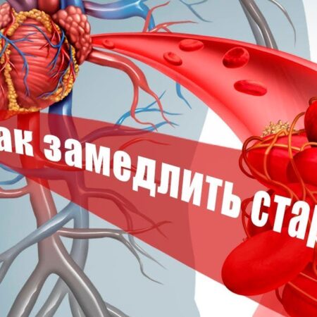 Раскрыт неожиданный фактор старения сердца и сосудов