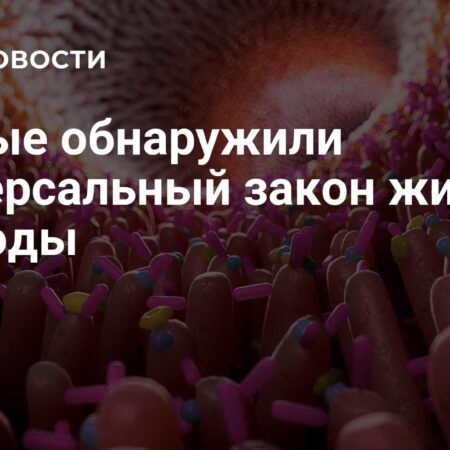 Ученые открыли универсальный принцип организации живых тканей