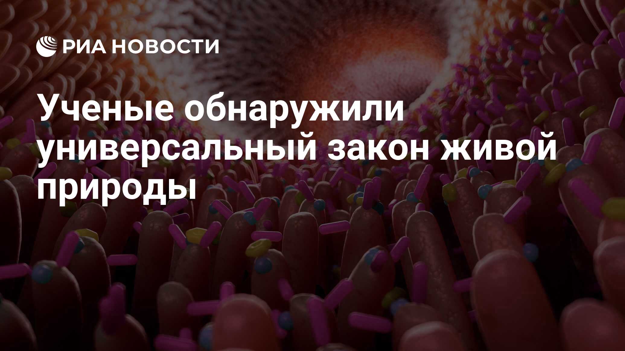 Preview Ученые открыли универсальный принцип организации живых тканей
