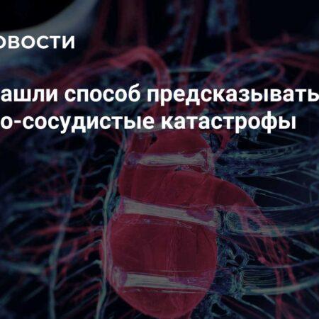В Туле разработан новый метод прогнозирования сердечно-сосудистых катастроф