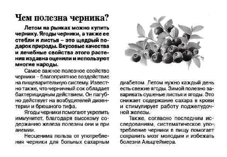Preview Неожиданная польза черники для иммунитета: Снижение аллергии у младенцев