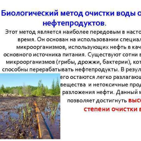 В России предложен новый метод биологической очистки воды от нефтяных загрязнений