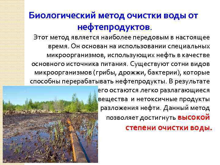 Preview В России предложен новый метод биологической очистки воды от нефтяных загрязнений