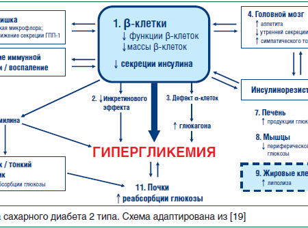 Диабет второго типа: прямое воздействие на структуру и функцию сердца