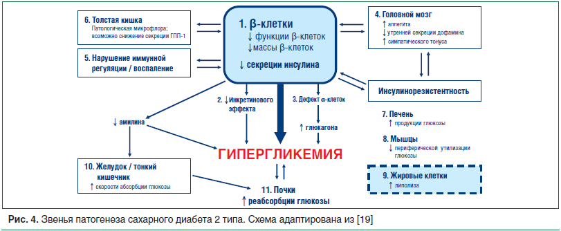 Preview Диабет второго типа: прямое воздействие на структуру и функцию сердца