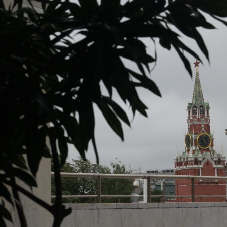 Уникальный Зимний сад в Московском Кремле обновил свою экспозицию: фото