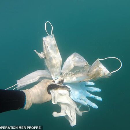 Одноразовые маски COVID-19: Неожиданная угроза для экологии и здоровья