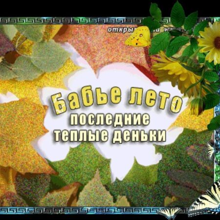 Последние деньки тепла: москвичи наслаждаются уходящим бабьим летом