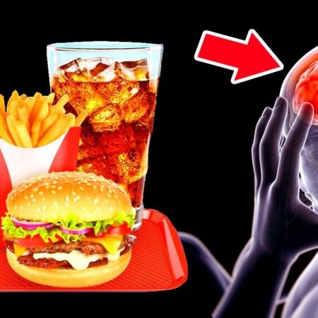 Неожиданный Фактор, Ухудшающий Работу Мозга: Фастфуд