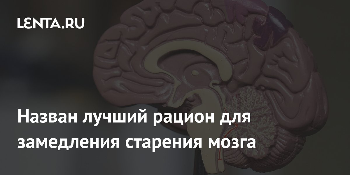 Preview Назван лучший рацион для замедления старения мозга