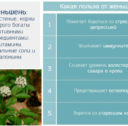 Женьшень: Удивительные противораковые свойства и польза для здоровья