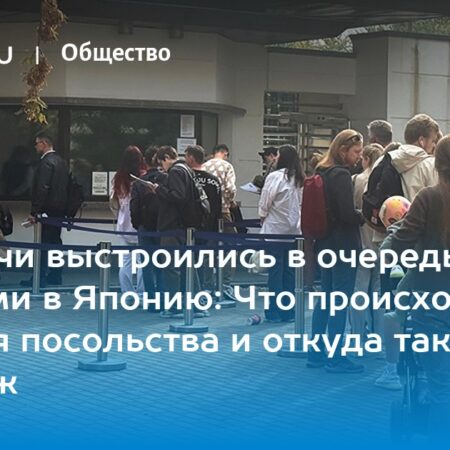 Ажиотаж у японского посольства: россияне спешат увидеть красные клены