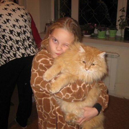 Новосибирцы отметили День рыжего кота: лучшие фотографии домашних любимцев