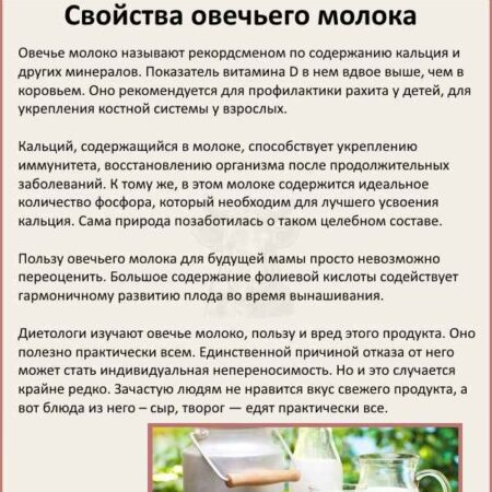 Овечье молоко: Уникальный состав и целебные свойства