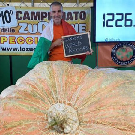 Царь-тыква и другие рекорды: фото