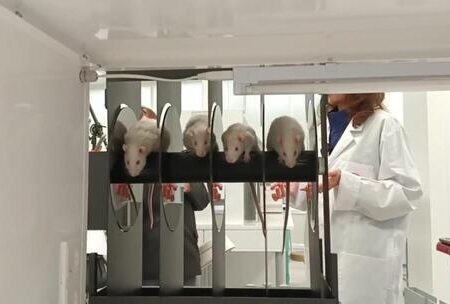 Процесс оценки биологической активности новых фармпрепаратов: видеоматериалы