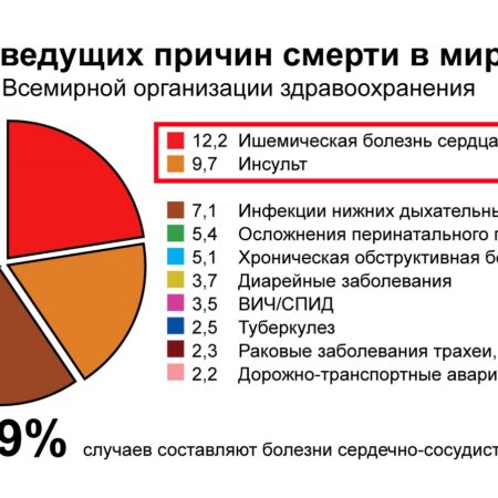 Основные причины смертности в России по данным ВОЗ