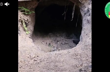 Польские пограничники обнаружили подкоп между Белоруссией и Польшей