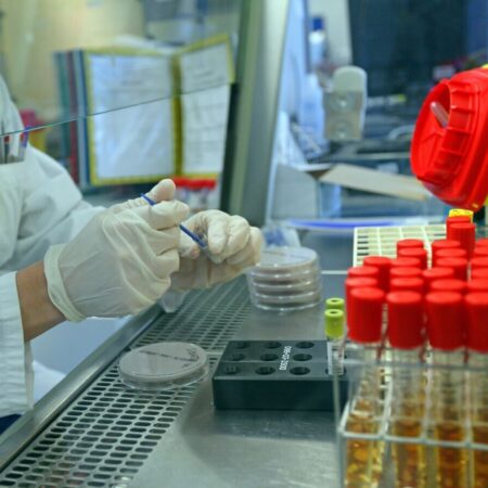 Российские ученые синтезировали новые органические молекулы для борьбы с оспой