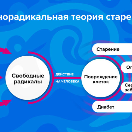Открытие: Социальные связи — мощный фактор замедления старения
